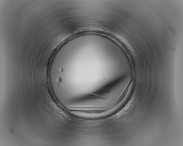 X0000110980977200907101406