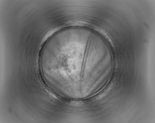 X0000110980978200907101406