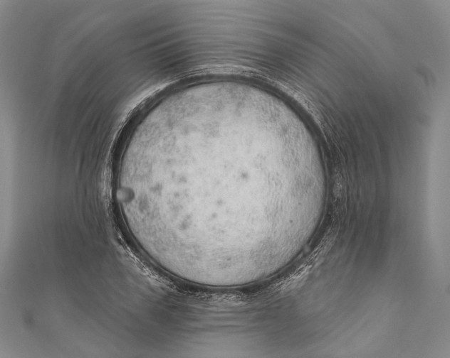 X0000110980979200907101406