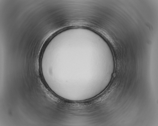 X0000110980980200907101406