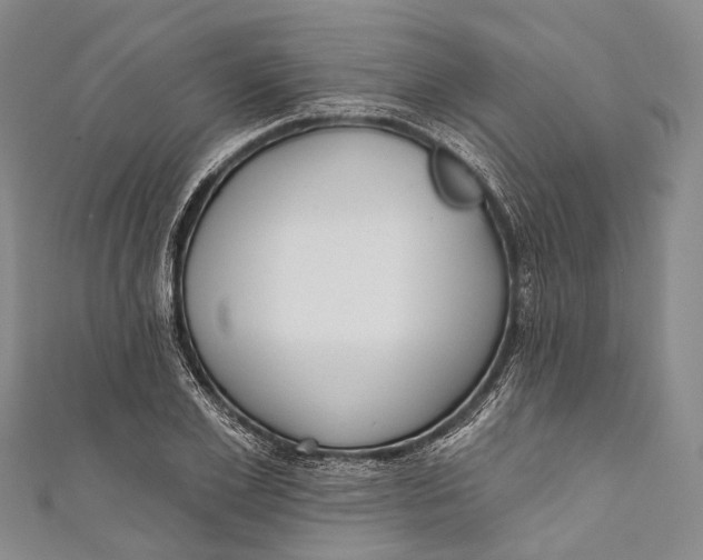 X0000110980981200907101406