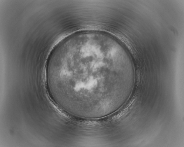 X0000110980982200907101406