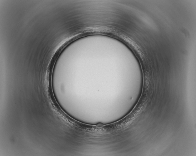 X0000110980983200907101406