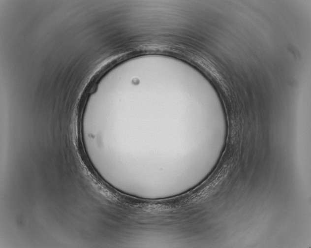 X0000110980984200907101406