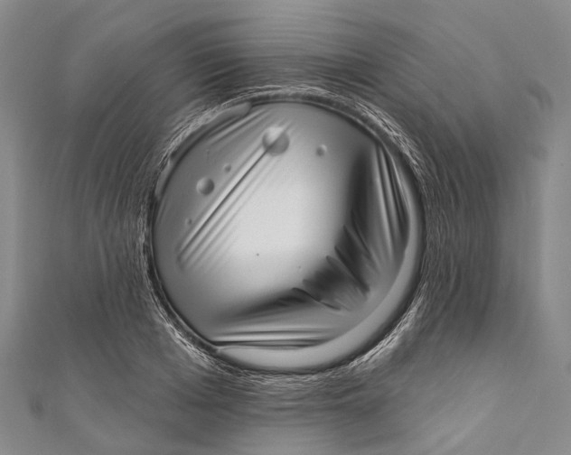 X0000110980985200907101406