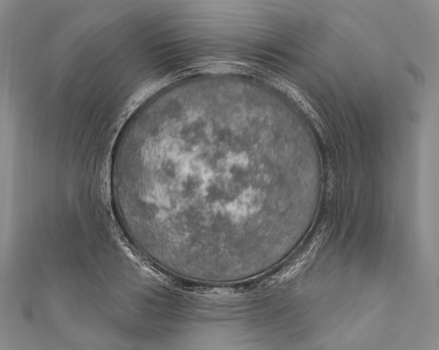 X0000110980986200907101406