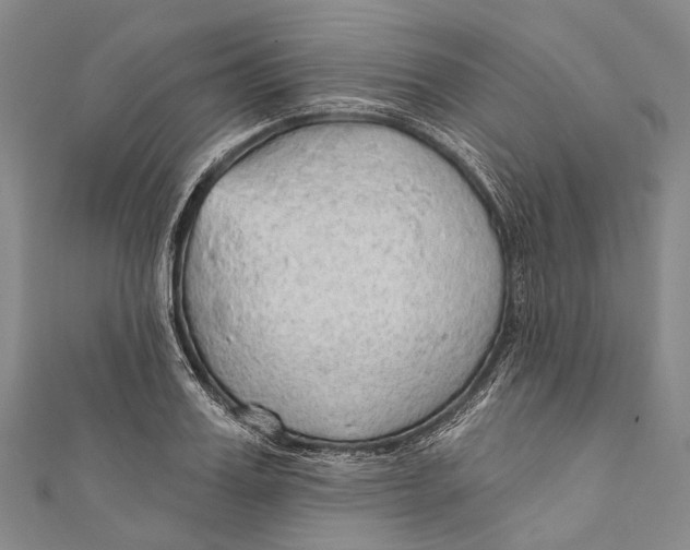 X0000110980987200907101406