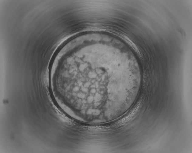 X0000110980988200907101406