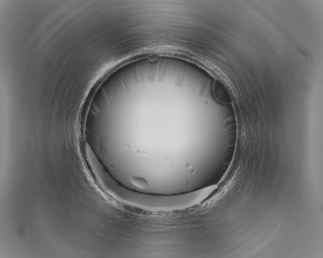 X0000110980989200907101406