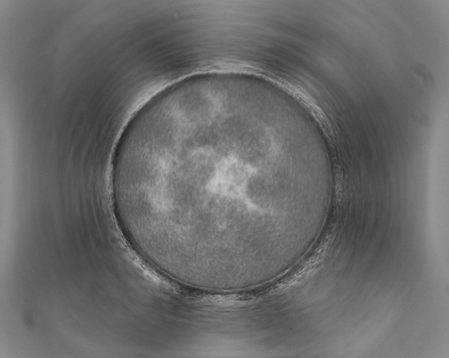 X0000110980990200907101406