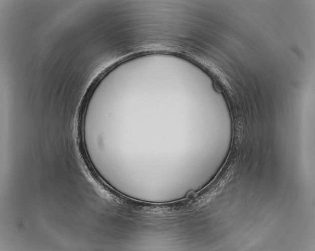 X0000110980991200907101406