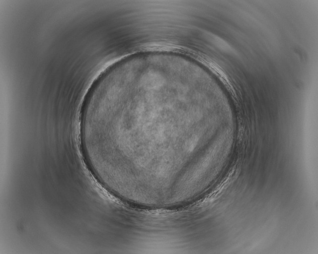 X0000110980992200907101406