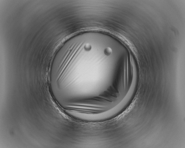 X0000110980993200907101406