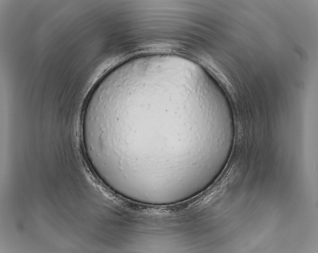 X0000110980994200907101406