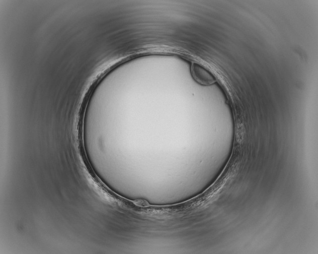 X0000110980995200907101406