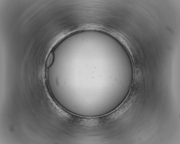 X0000110980997200907101406