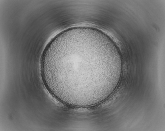 X0000110980998200907101406