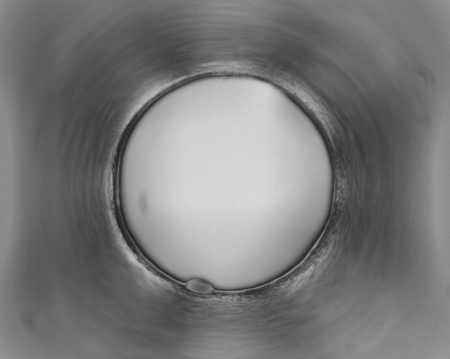 X0000110980999200907101406