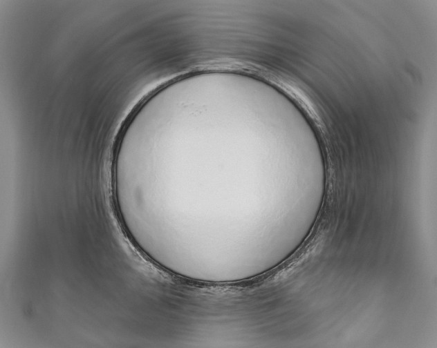 X0000110981000200907101406