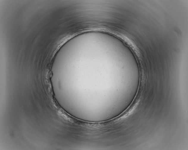 X0000110981001200907101406