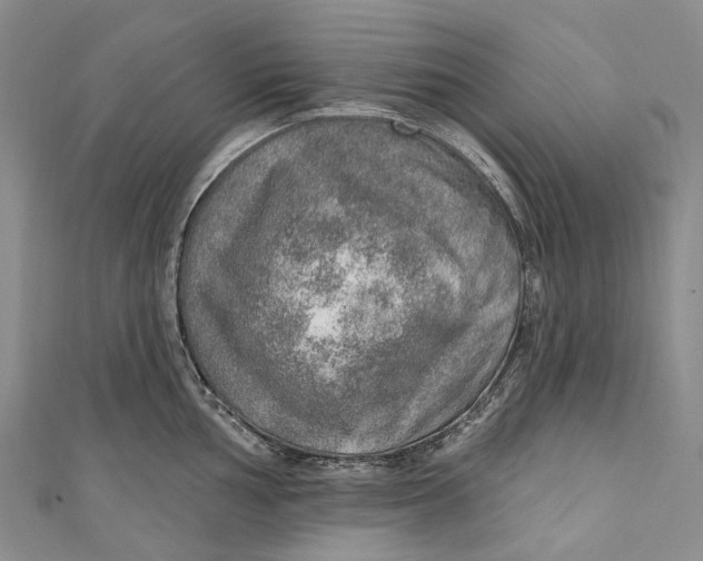 X0000110981002200907101406