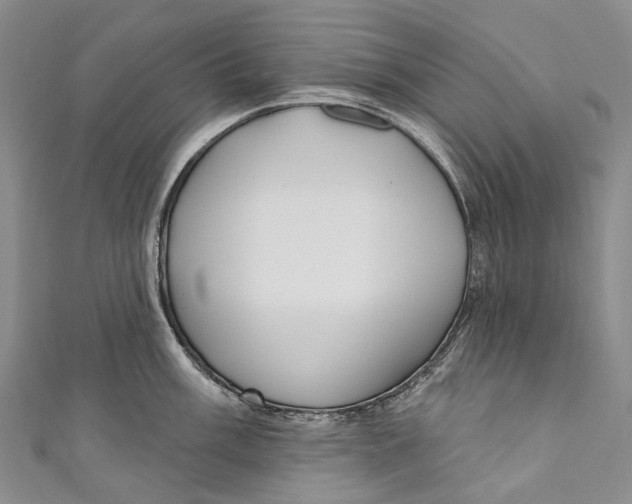 X0000110981003200907101406