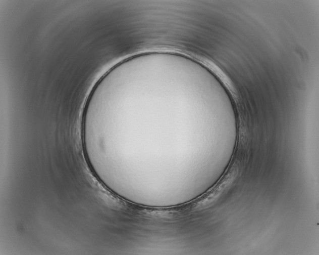 X0000110981004200907101406