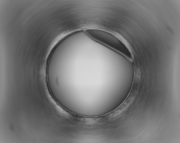 X0000110981005200907101406