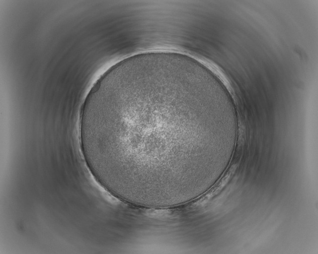 X0000110981006200907101406