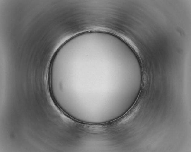 X0000110981007200907101406