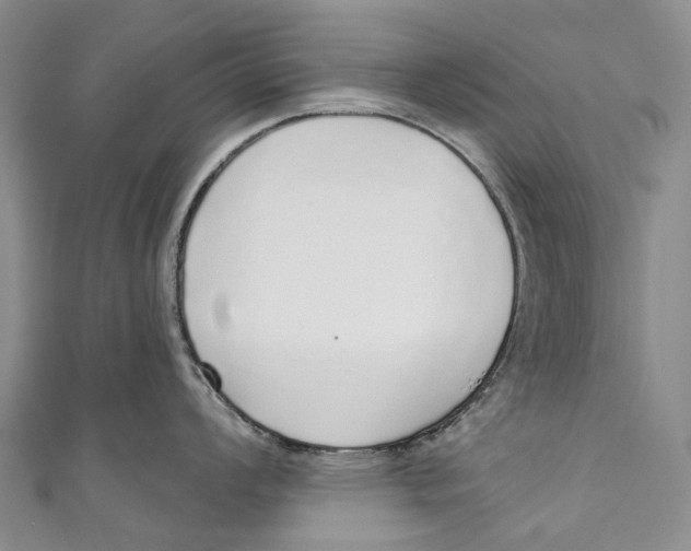 X0000110981008200907101406