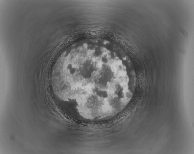 X0000110981009200907101405