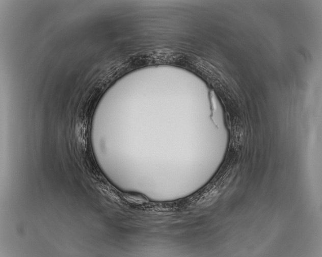 X0000110981010200907101405