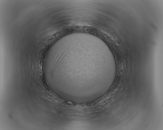 X0000110981013200907101405