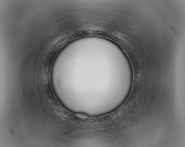 X0000110981014200907101405