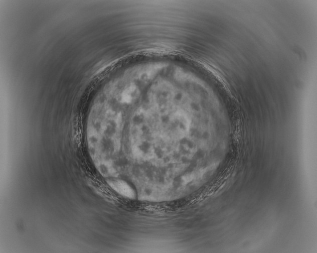 X0000110981015200907101405