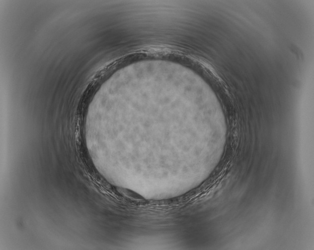 X0000110981016200907101405