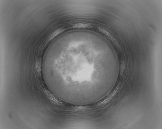 X0000110981017200907101405