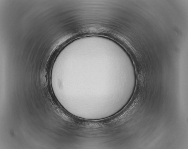 X0000110981018200907101405