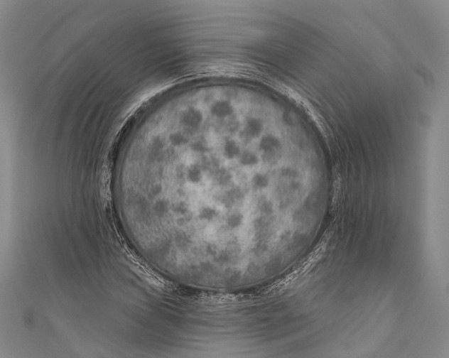 X0000110981019200907101405