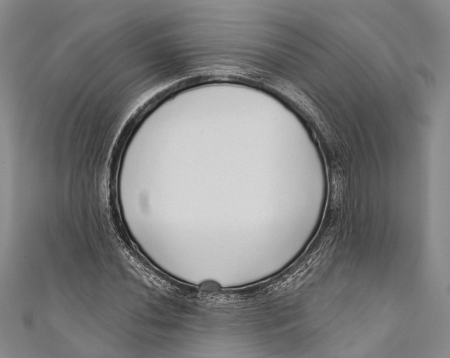 X0000110981020200907101405