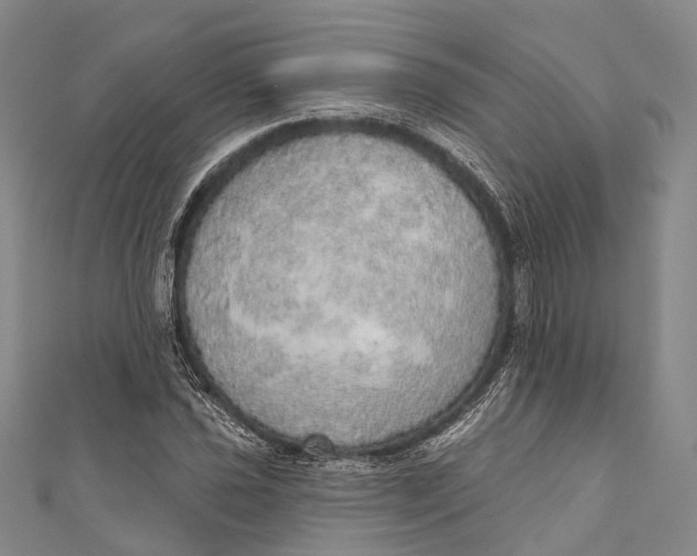 X0000110981021200907101405