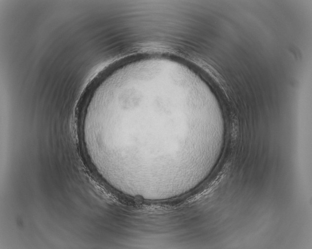 X0000110981022200907101405