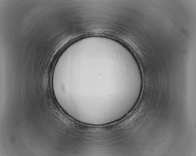 X0000110981023200907101405