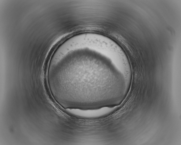 X0000110981024200907101405