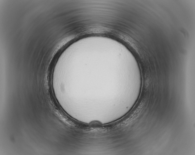 X0000110981026200907101405