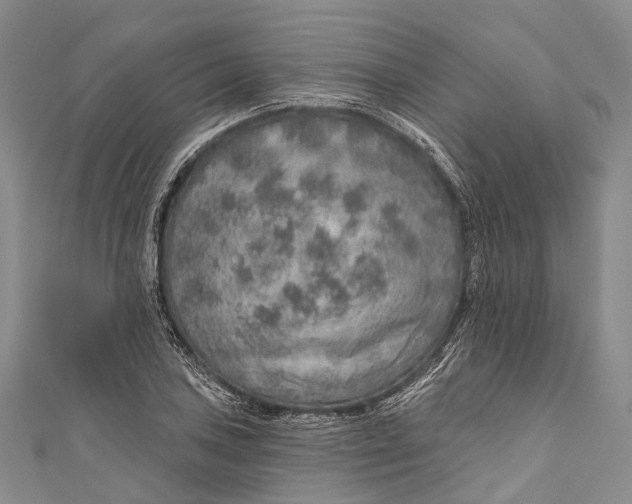 X0000110981027200907101405