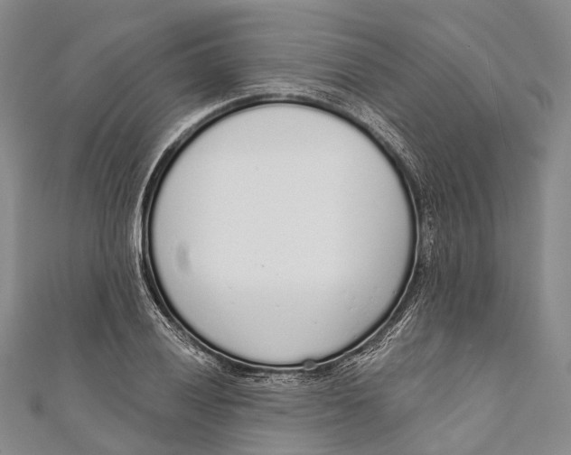 X0000110981028200907101405