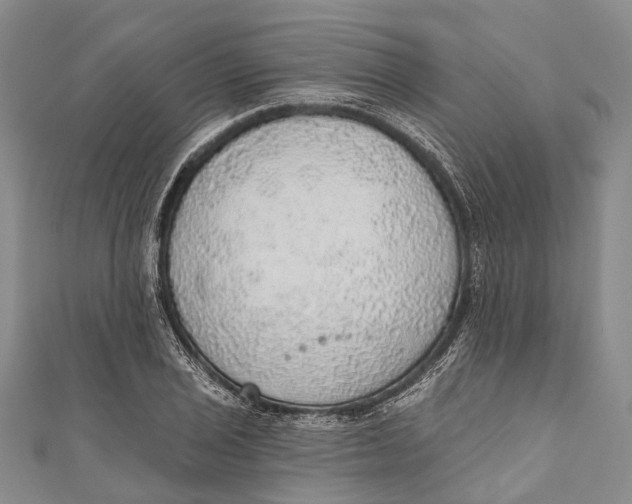 X0000110981029200907101405