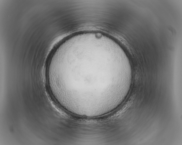 X0000110981030200907101405